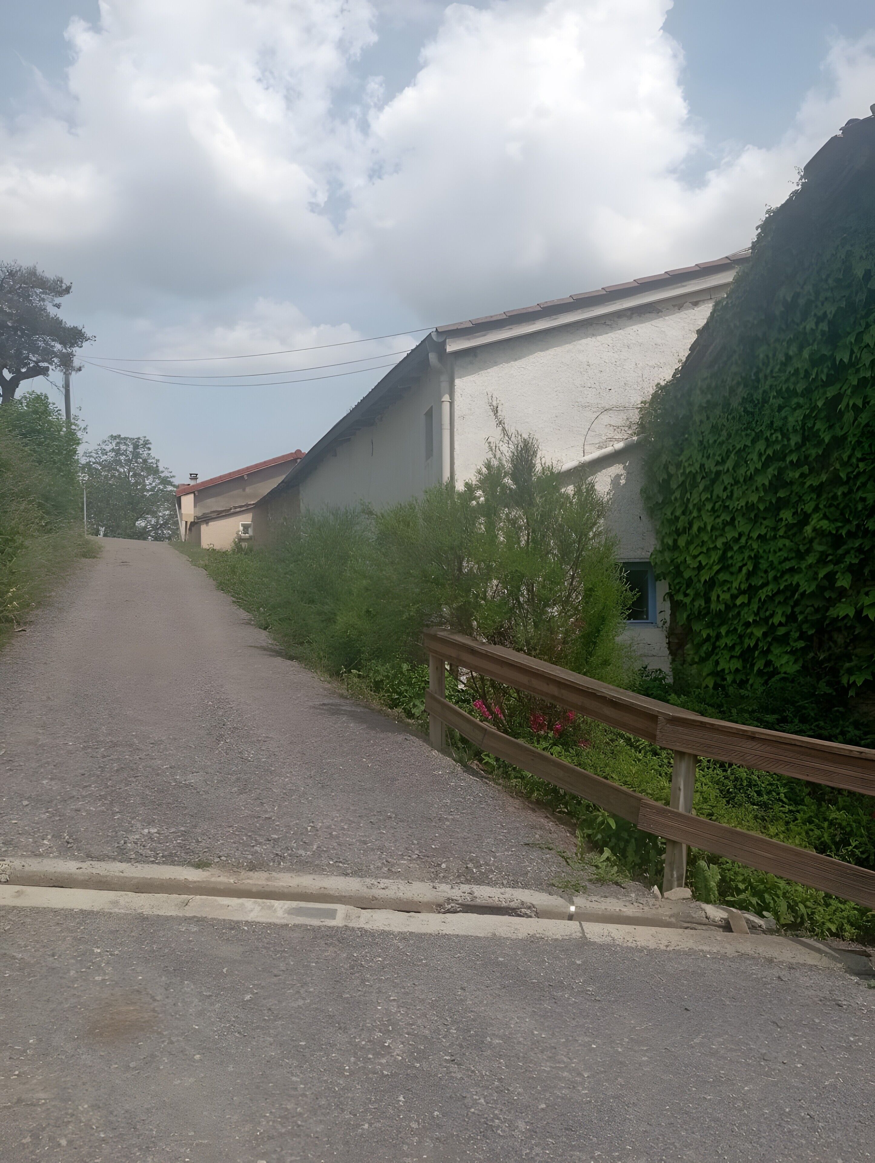 A paved road leading to a building with a sloped roof, surrounded by greenery and a wooden fence.