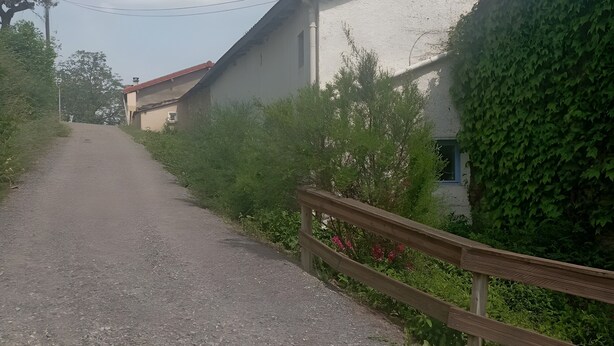A paved road leading to a building with a sloped roof, surrounded by greenery and a wooden fence.