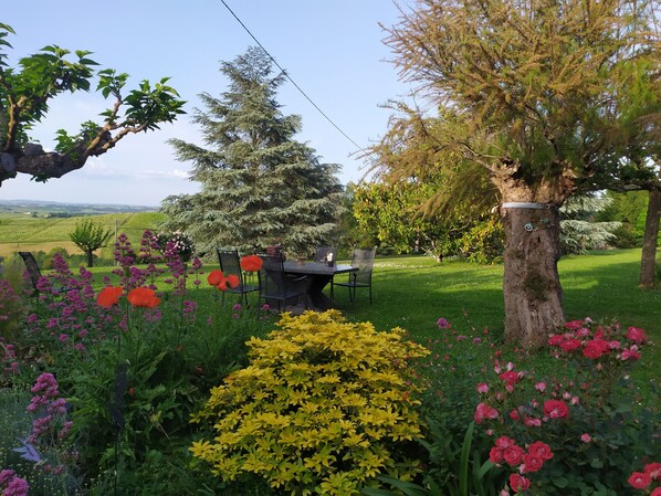 Un jardin agrémenté d’une table et de chaises, entouré de différentes plantes et arbres.