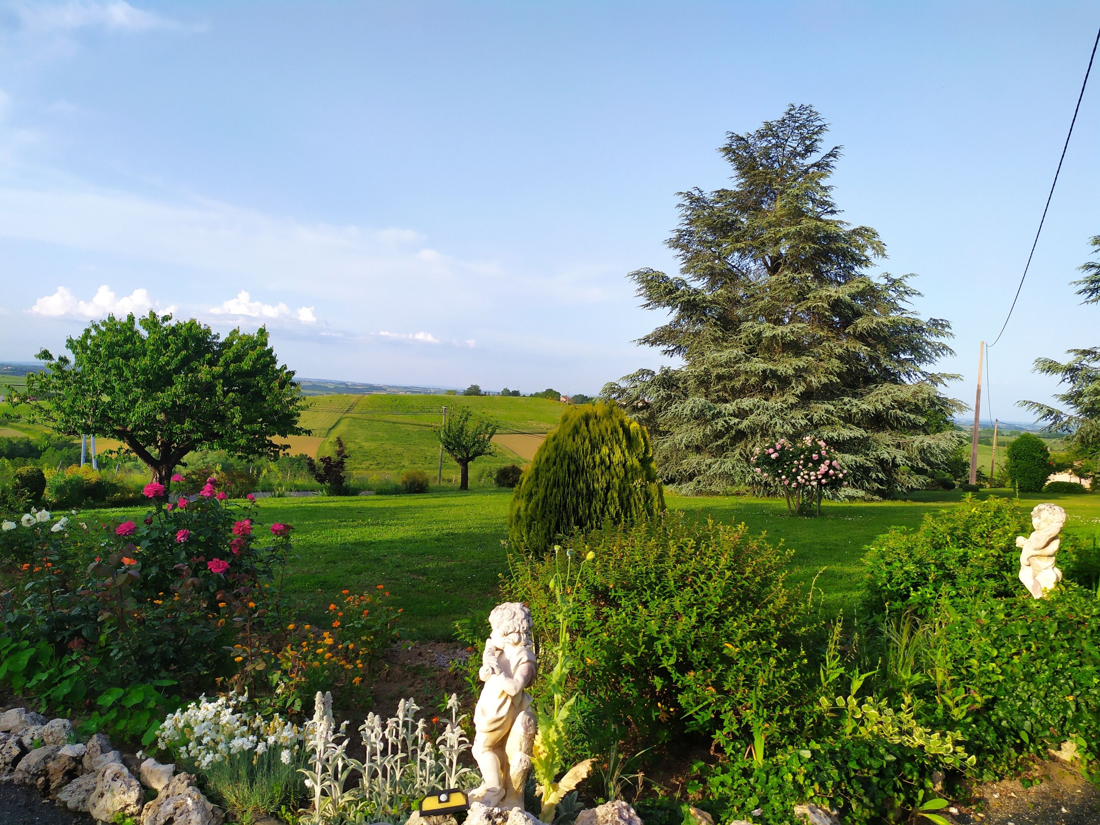 Ein Garten mit einer Statue, einem großen Baum und Blick ins Grüne.