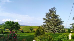 Un jardin agrémenté d’une statue, d’un grand arbre et offrant une vue sur la campagne.