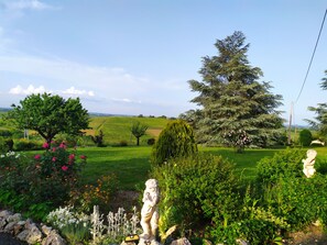 Property grounds - Gîte Auprès des Oiseaux - Montels (Montels)