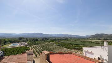 A rooftop terrace with a red roof, overlooking a vineyard and distant mountains.