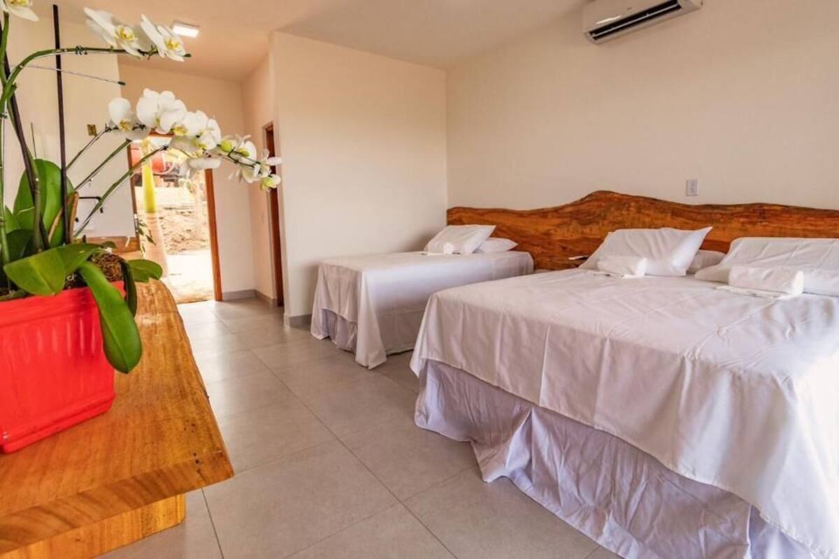 Habitación de hotel con dos camas, un cabecero de madera, una planta roja y una orquídea blanca.