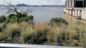 A view of a large body of water with a bridge and a building with a flat roof. - Room-bloekombos Guesthouse Family Unit (Kopanong)