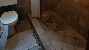 Casa de banho com sanita, lavatório, chuveiro e paredes em azulejo.