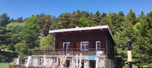 Exterior - Vrbo Property (Beaumont-du-Ventoux)