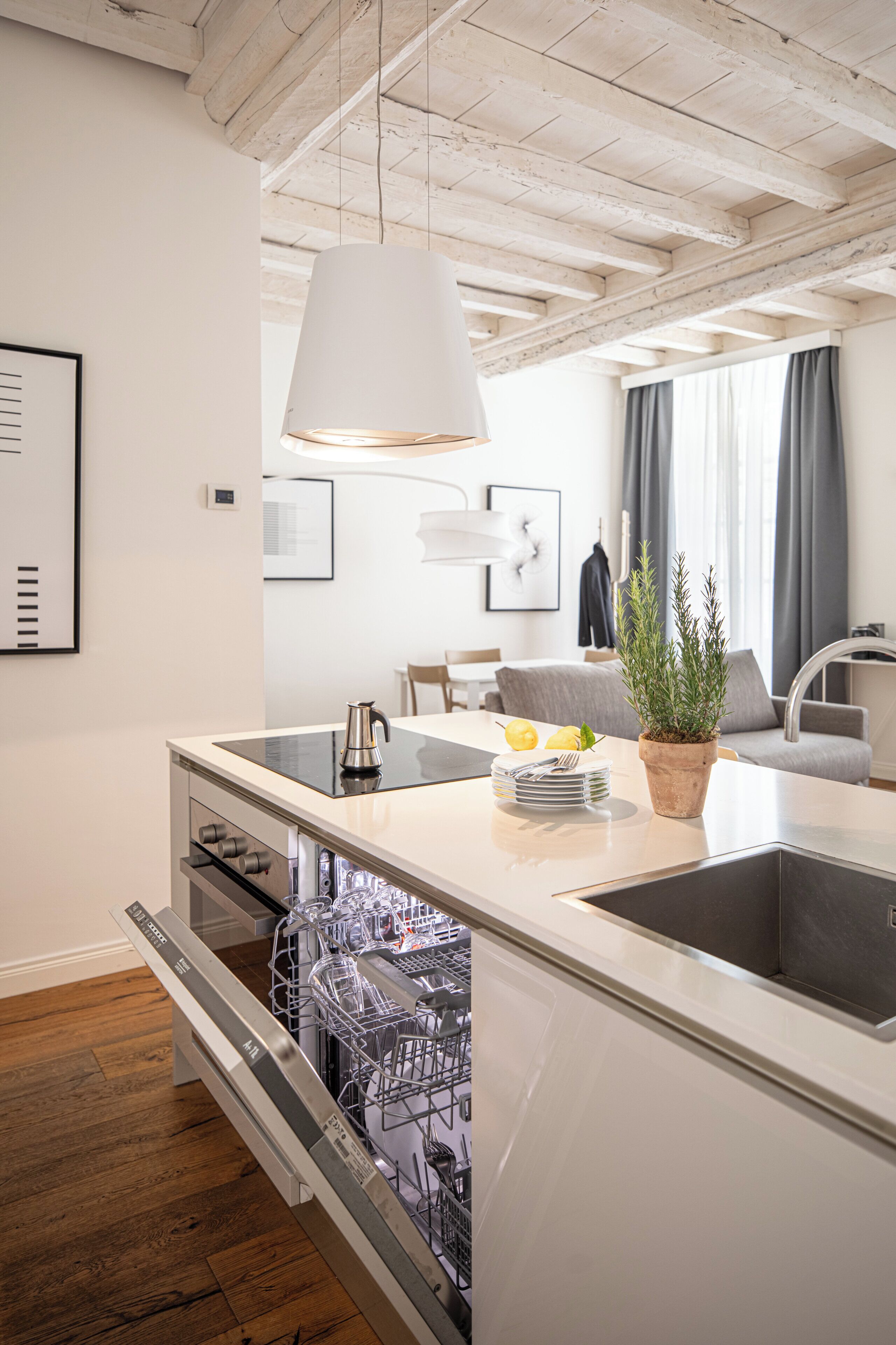 A modern kitchen with a built-in dishwasher, a hanging light fixture, and a potted plant.