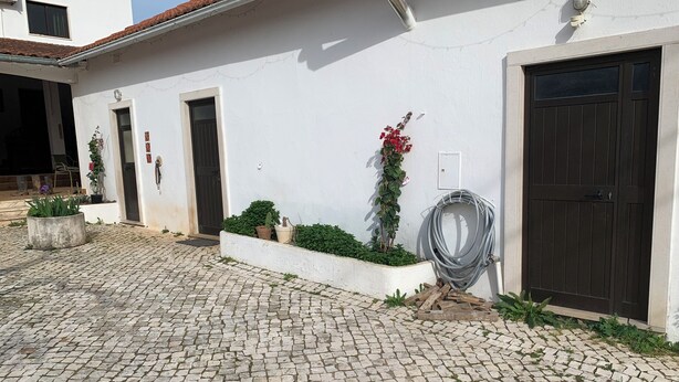 A courtyard with cobblestone flooring, a white building with a dark door, and potted plants.