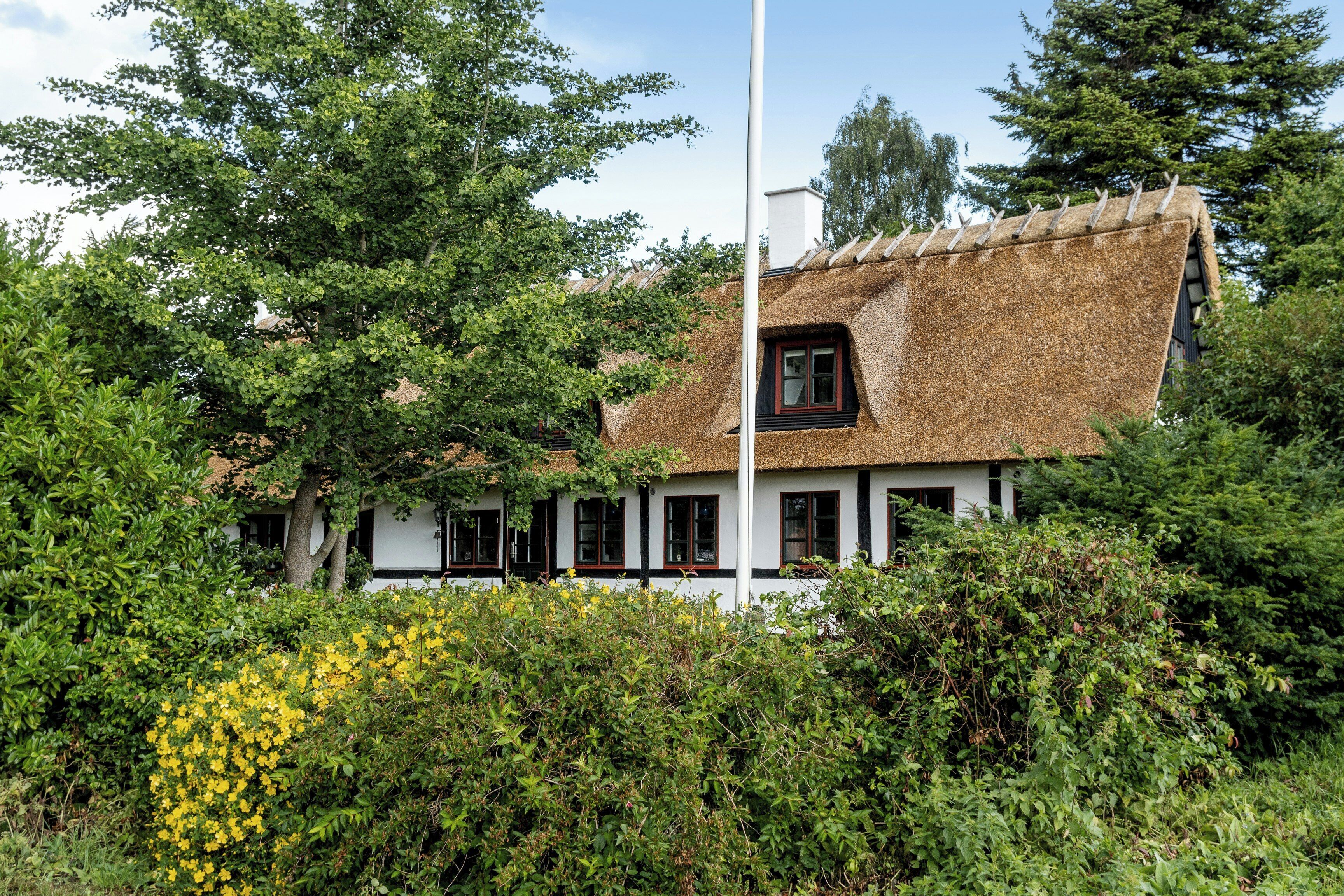 A traditional house with a thatched roof, surrounded by dense greenery and trees.