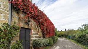A stone building with a black door, ivy-covered walls, and a narrow driveway. - Villa with heated pool in Toscana (San Quirico)