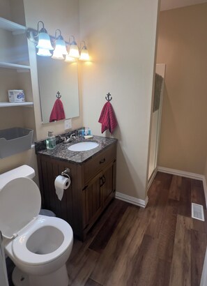 Shower, hair dryer, towels, soap - Rathbun Lake, 1.5 miles from the Lake, 2 bdrm, 2 bath sleeps 7 in Rathbun, Iowa. (Centerville)