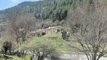 A house surrounded by trees and a hill in the background.