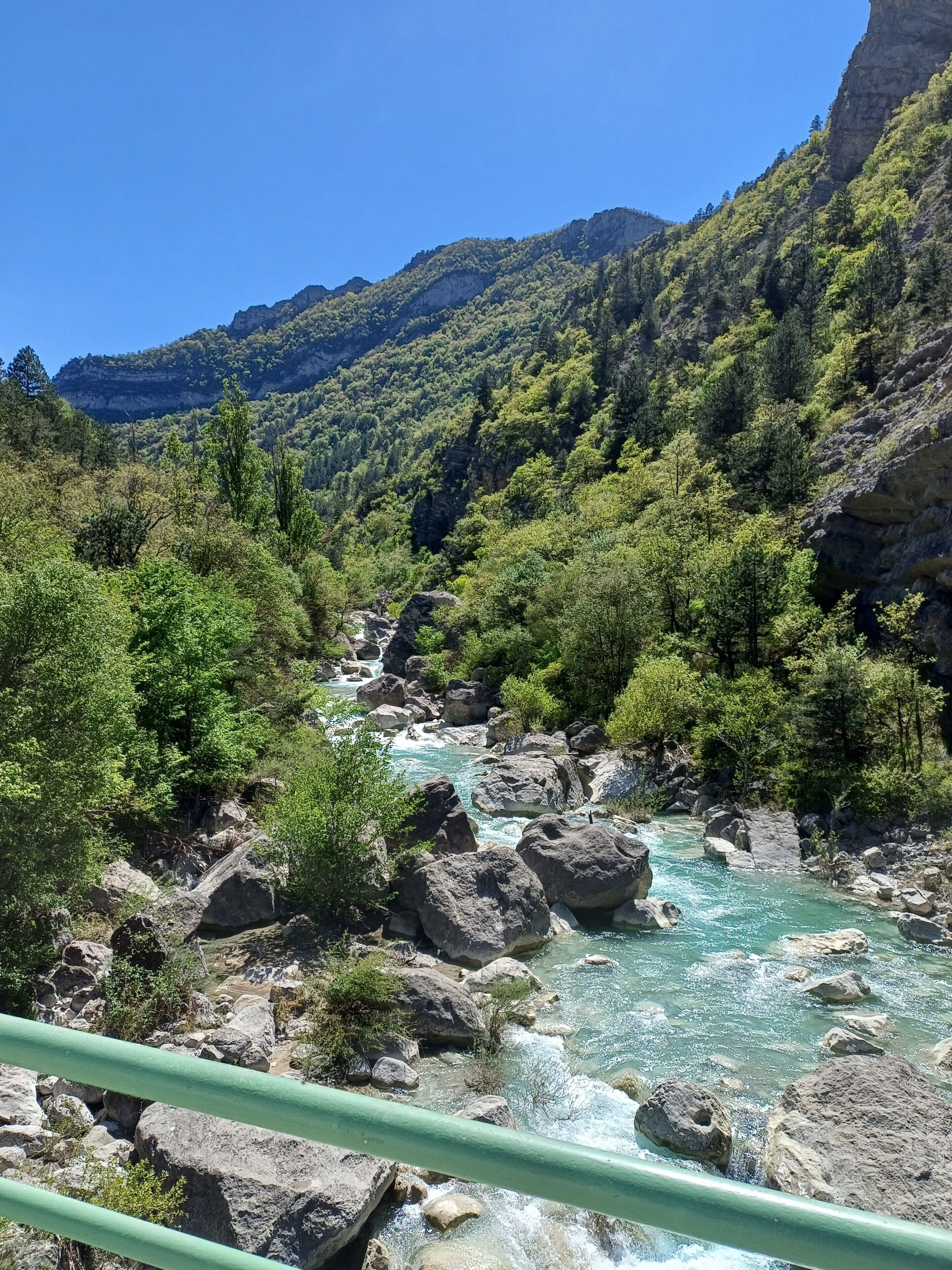 Ein Fluss fließt durch ein gebirgsreiches Gebiet mit felsigem Gelände und dichter Vegetation.