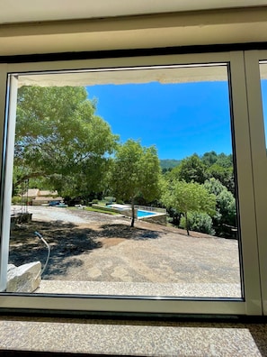 A view through a window of a property with a pool, trees, and a clear sky.