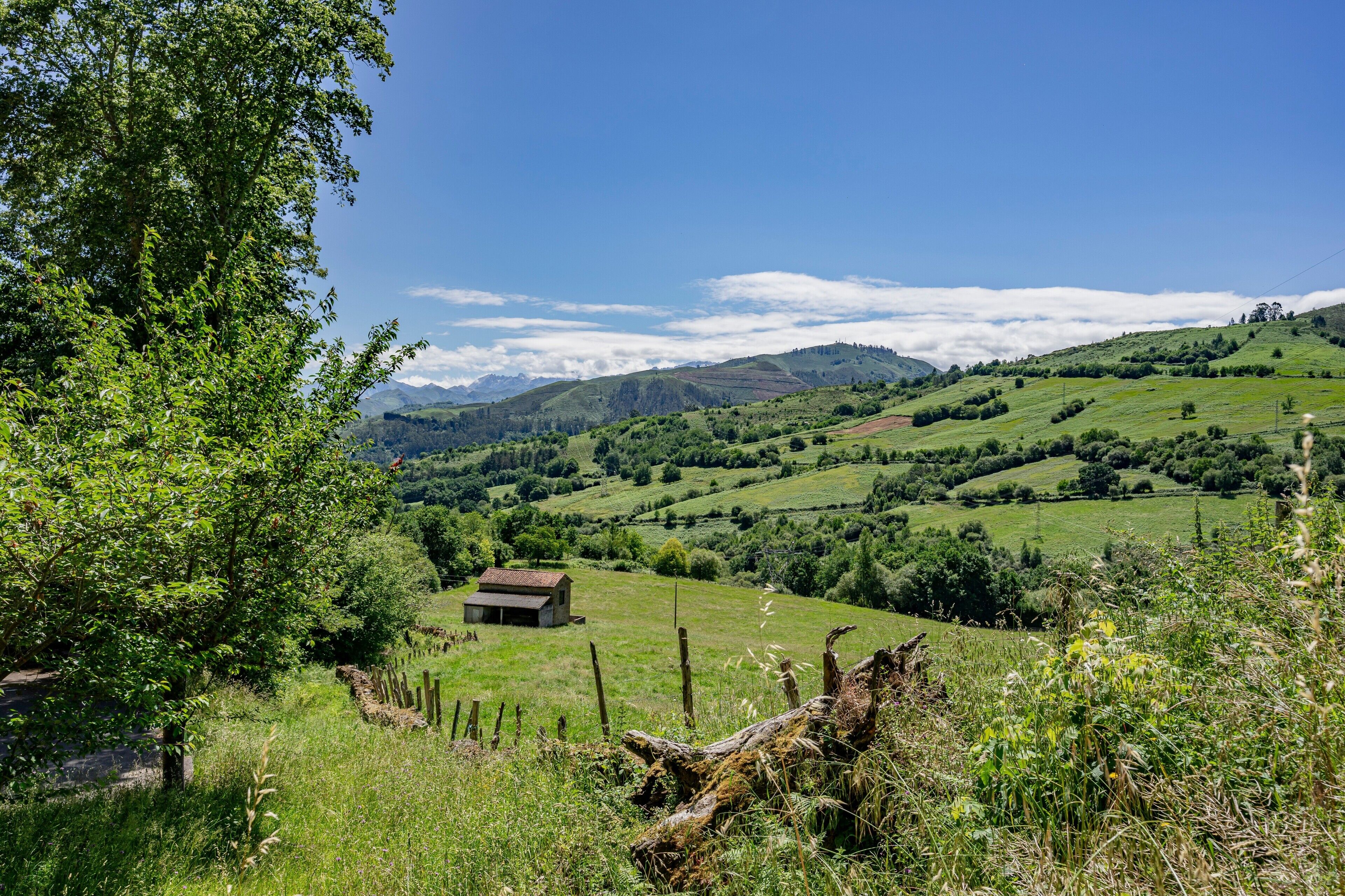 Paisaje rural con colinas onduladas, una construcción pequeña y un árbol.