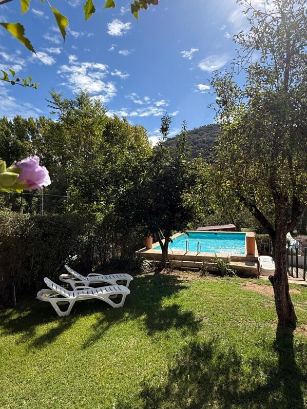 A backyard with a swimming pool, a tree, and a white lounge chair.