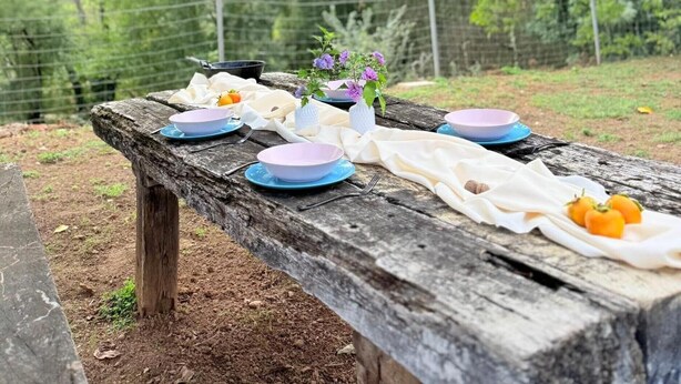 A rustic picnic table set outdoors with plates, utensils, and a small plant. - Casa Rural Orilla del Hueznar – Relax en la Sierra Norte de Sevilla (Cazalla de la Sierra)