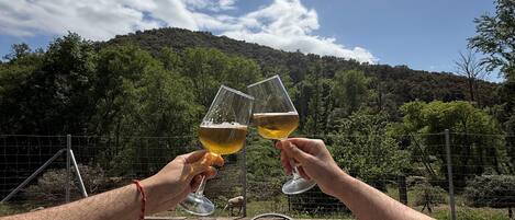 A table set outdoors with a view of a forested hill, two glasses of a yellow beverage, and a dish of what appears to be a crumbly food item.