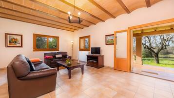 TV, fireplace, DVD player, table tennis