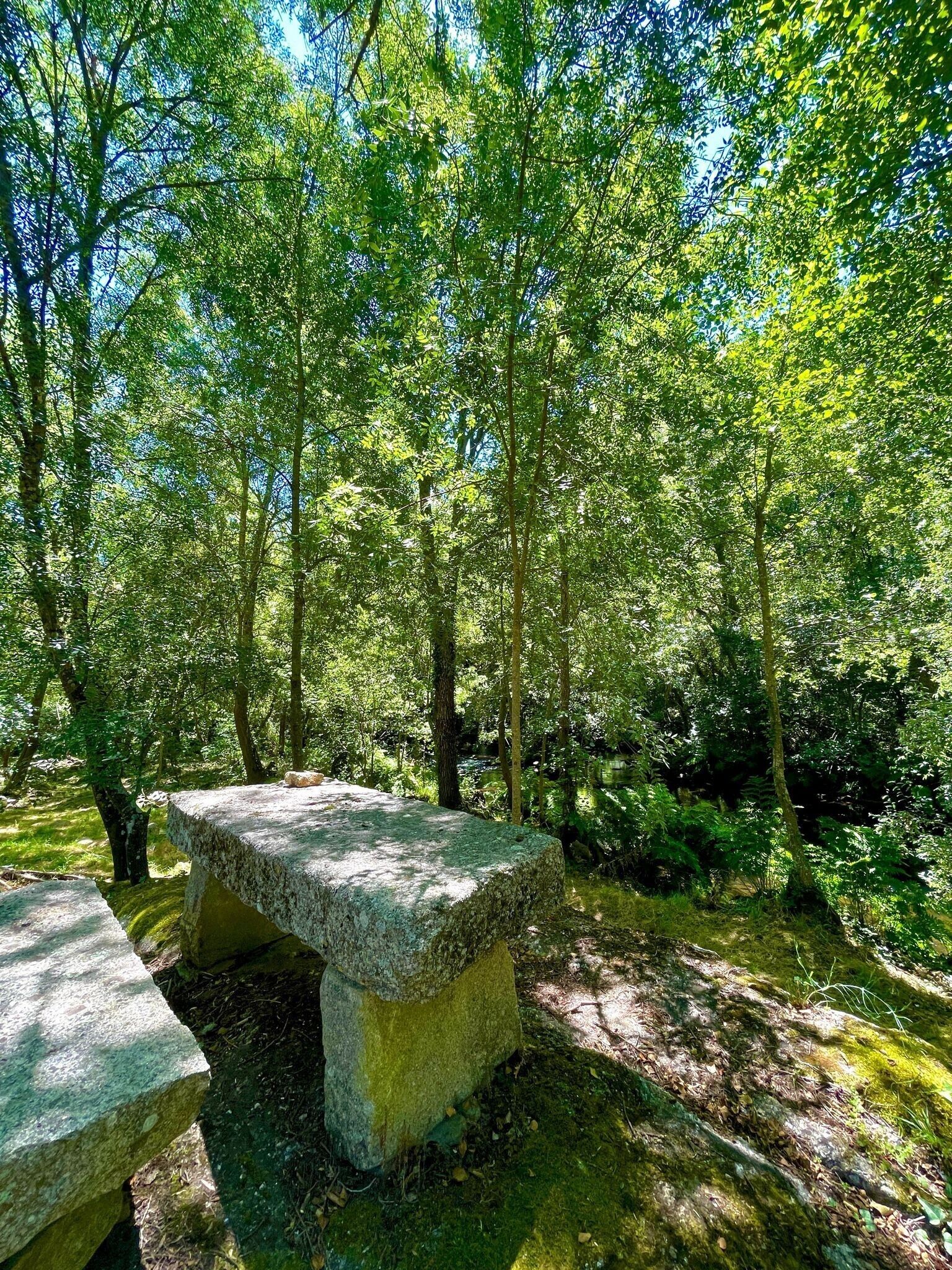 Terrain de l’hébergement 