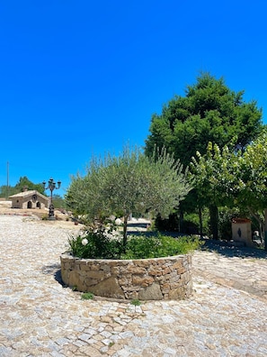 A stone courtyard with a central planter, a large tree, and a building with a tiled roof in the background.