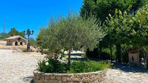 Un patio de piedra con un macizo central, un árbol grande y un edificio con tejado de baldosas al fondo.