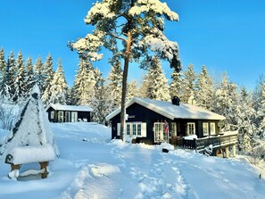 Exterior - Cabin with annex and view over Øymarksjøen (Ørje)