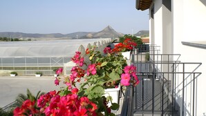 A balcony with potted plants and a view of a greenhouse. - Apartment 'Sciroccu' with Outdoor Pool, Wi-Fi and Air Conditioning (Mazzarino)