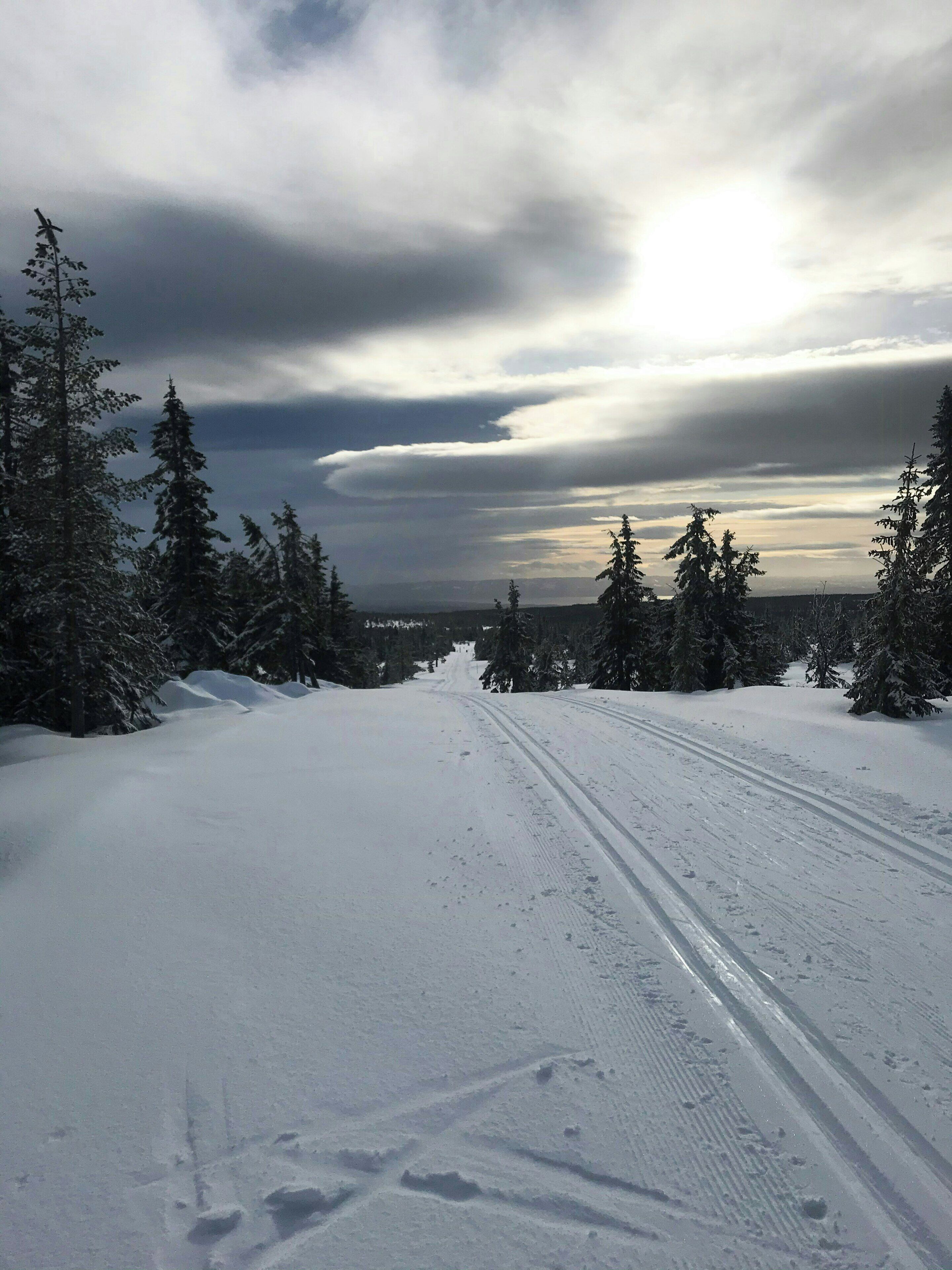Snow and ski sports