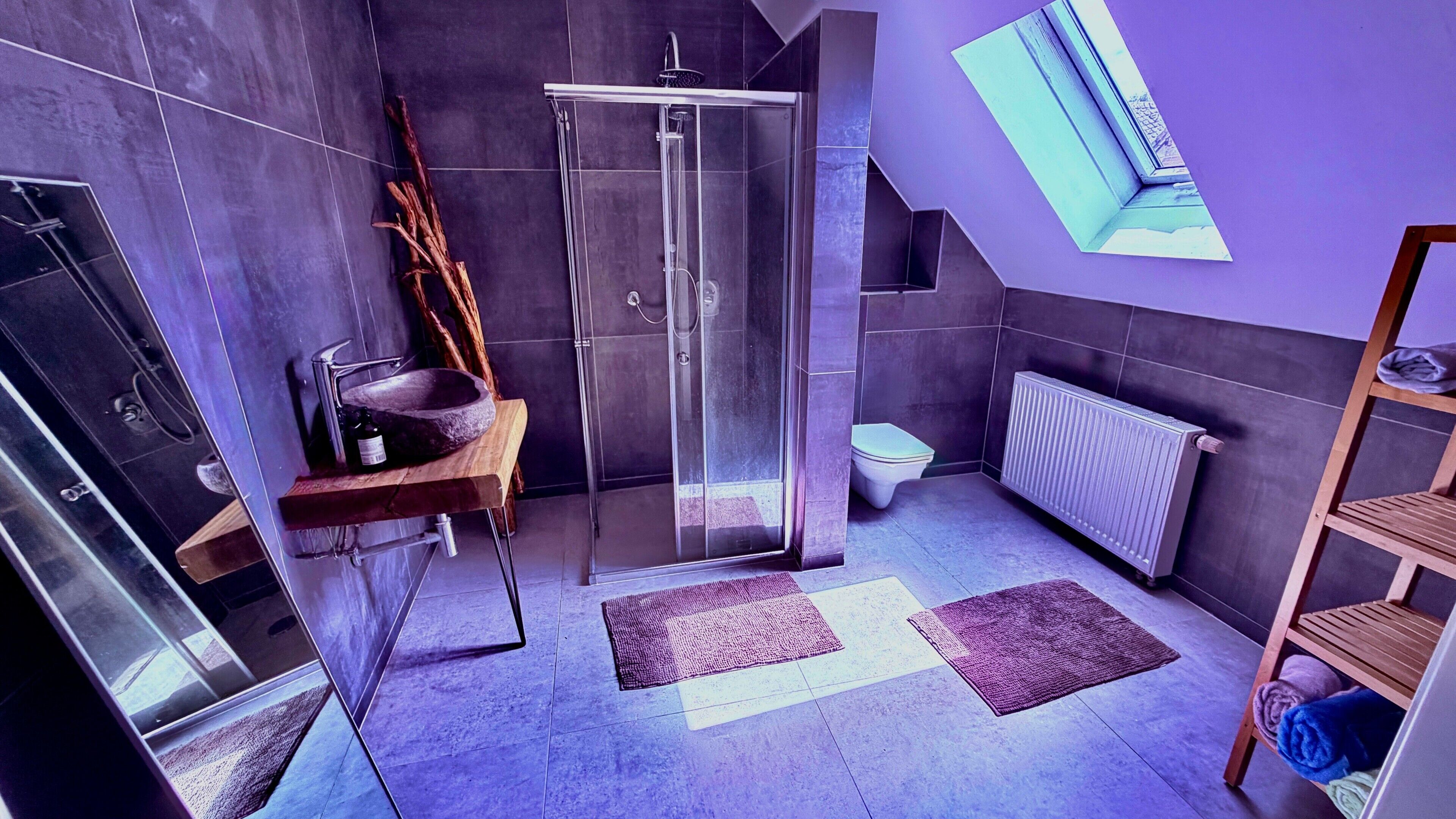 Dusche, Haartrockner, Handtücher