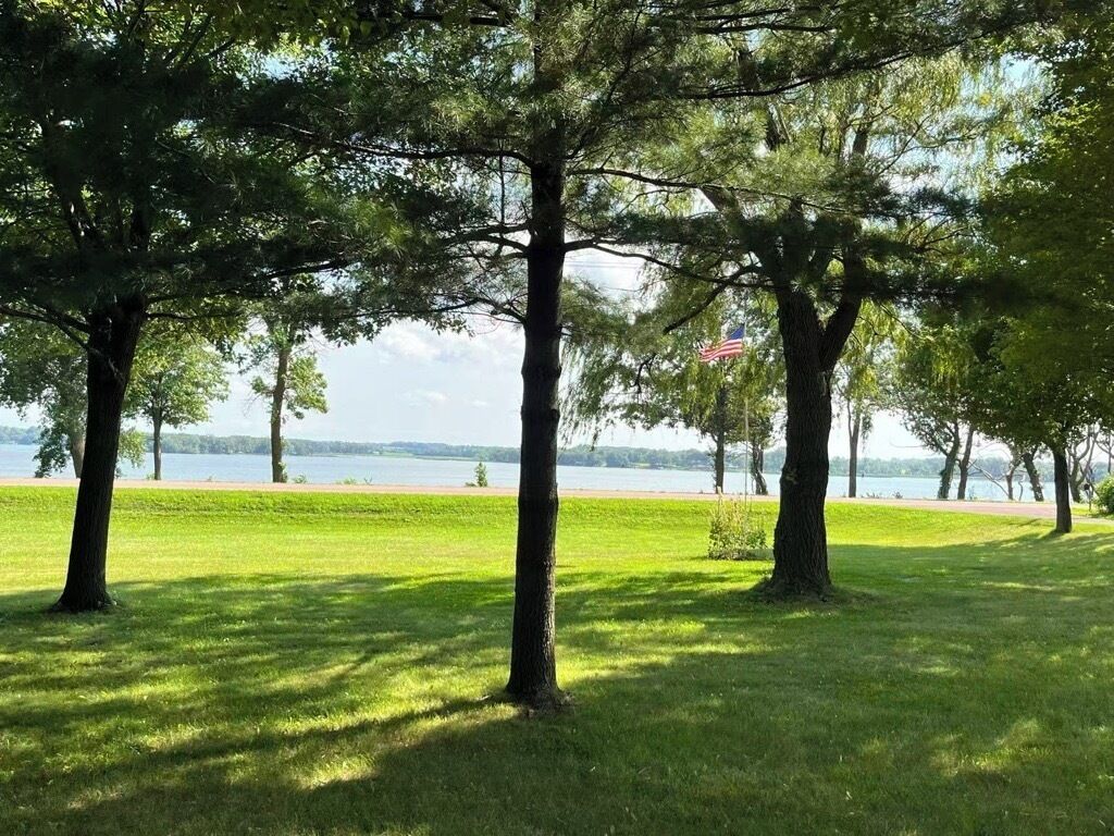 A grassy area with trees and a flag.