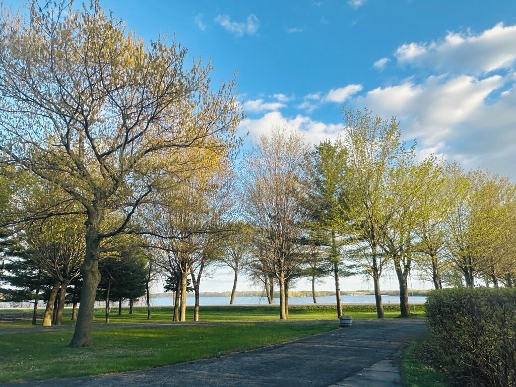 Un sentiero che conduce a un corpo d'acqua, con alberi su entrambe le sponde.