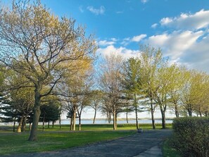 Un sentier qui mène à un plan d’eau, avec des arbres de chaque côté.
