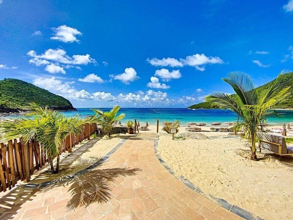 A paved pathway leading to a beach with palm trees and beach chairs. - DDL 624, sea view, beach front, serenity and comfort (Anse Marcel)