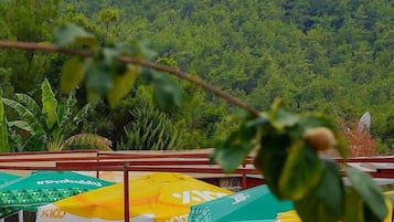 Zona junto a la piscina con sombrillas, sillas de descanso y vista a un paisaje montañoso boscoso.
