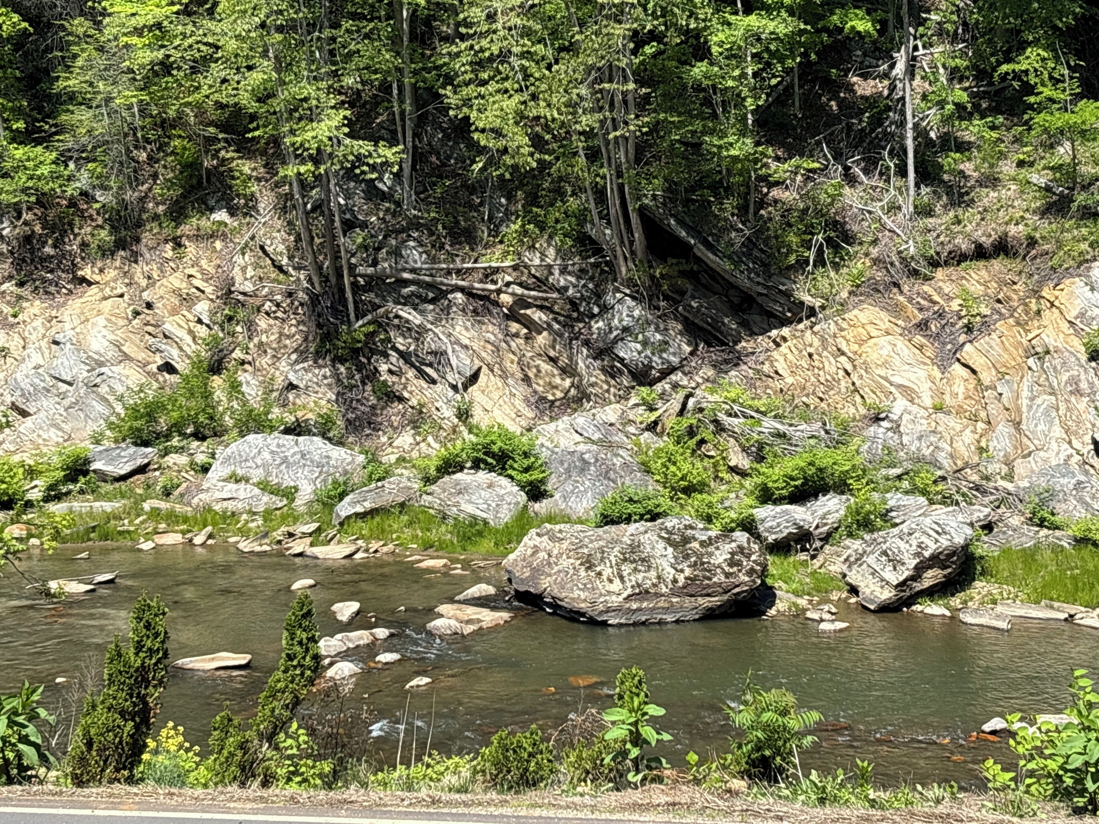 A river with rocks and greenery.