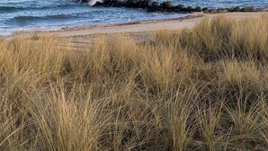 Et kystlandskab med sandstrand, græsdyner og et roligt hav.