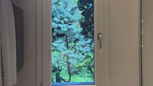 Ein Badezimmer mit Fenster, Toilettenpapierhalter und Handtuchhalter.