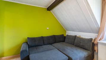 Fernseher, Kamin