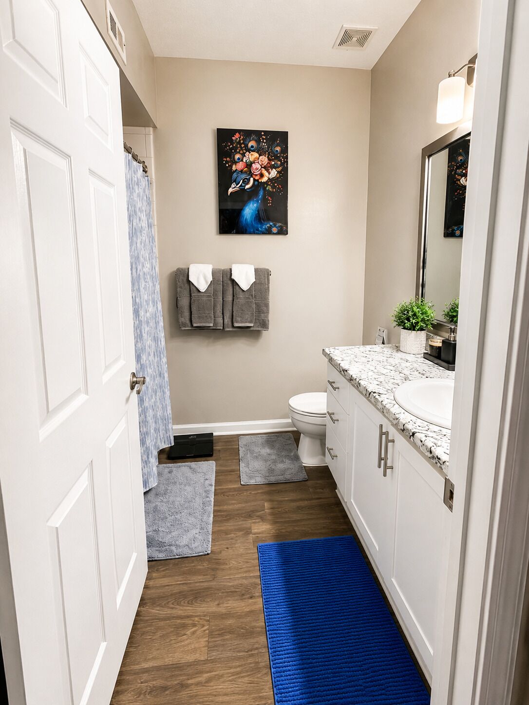 Hair dryer, towels, soap, toilet paper