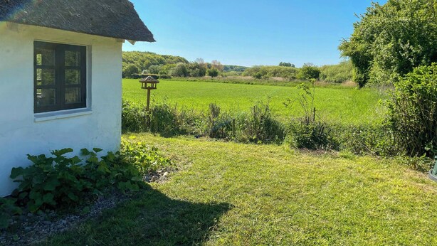 Una cabaña blanca con techo de paja, una ventana y un comedero para pájaros en un campo verde exuberante.