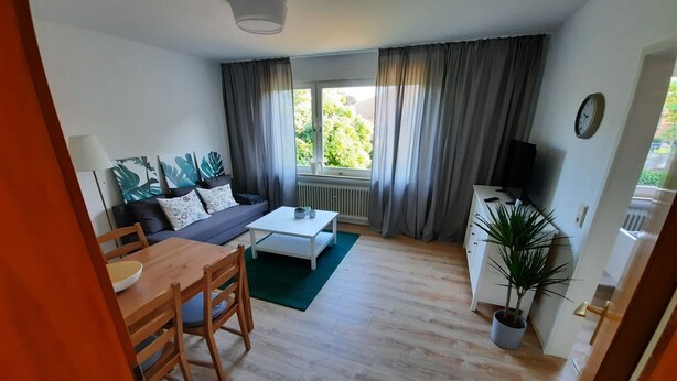 A living room with a sofa, coffee table, dining table, and chairs. There is a TV on a cabinet, a window with curtains, and a plant.