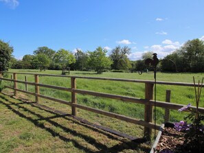 Ein eingezäunter Außenbereich mit einem Reiter, einem Pferd, Bäumen und blauem Himmel.