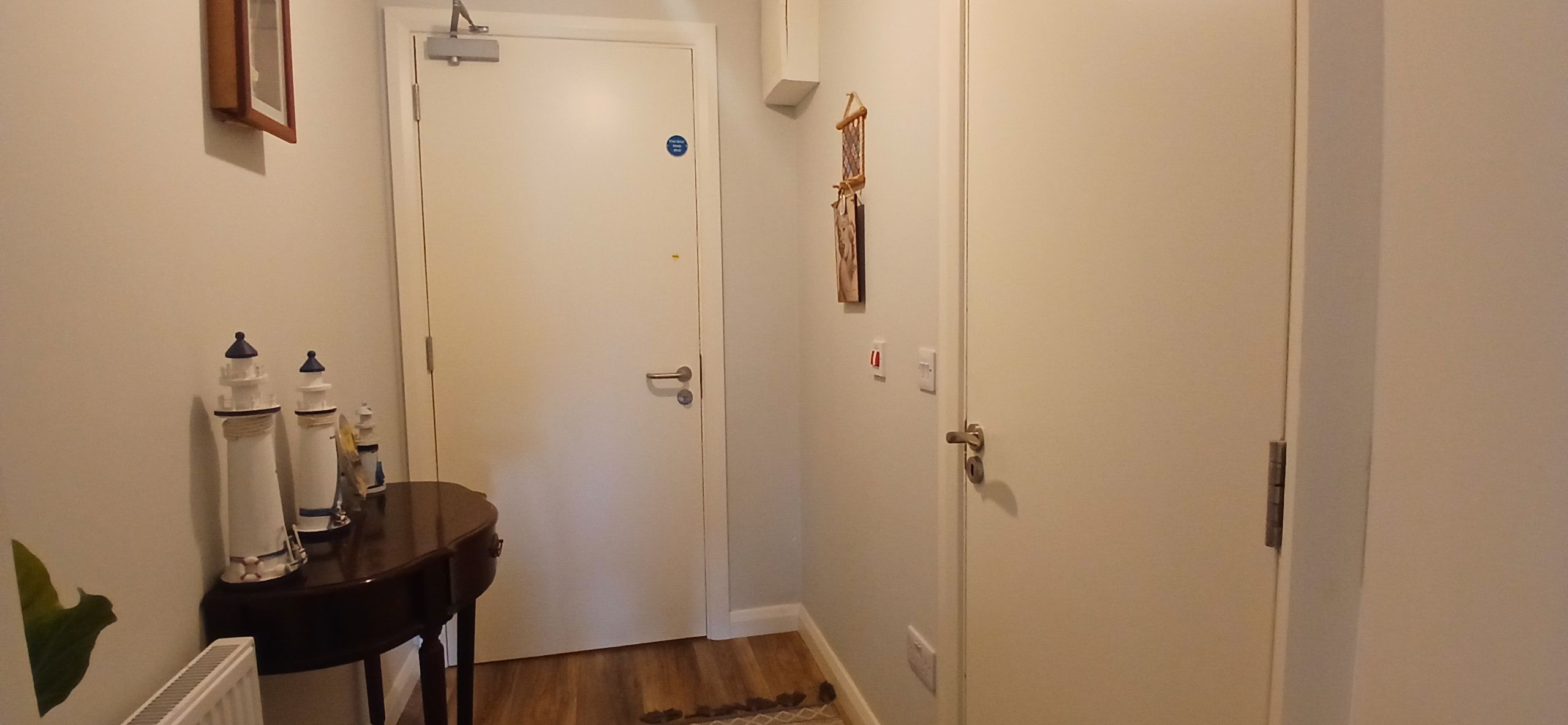 A hallway with a white door, a small table with a plant, and a coat rack.