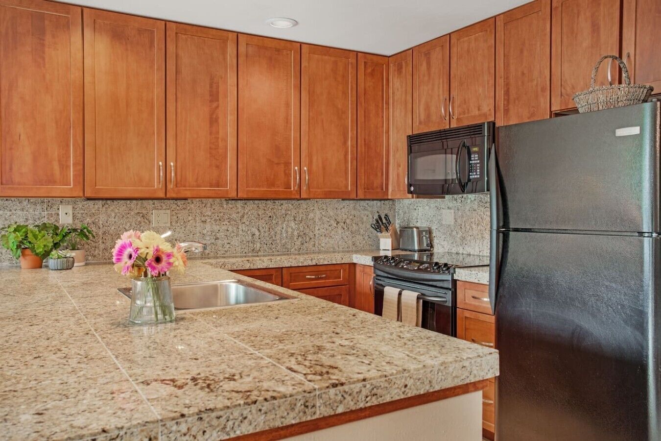 Refrigerador, microondas, horno, placa de cocina