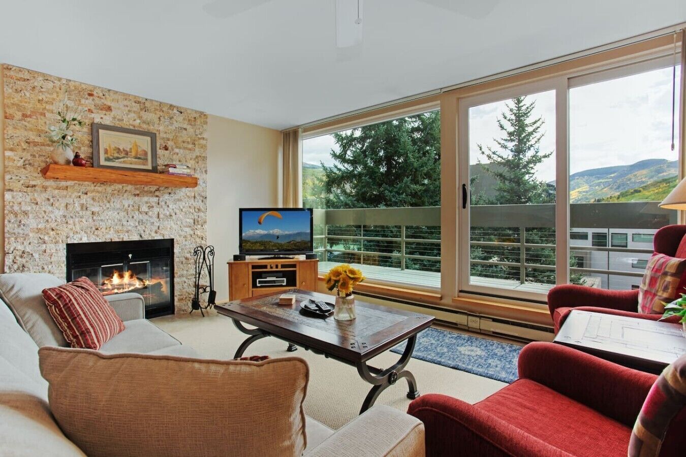 TV, fireplace