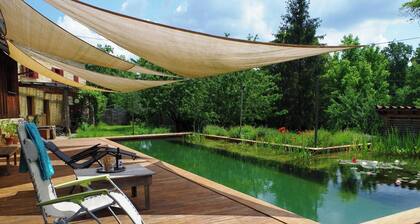 Gîte en bois design près du lac de Parisot