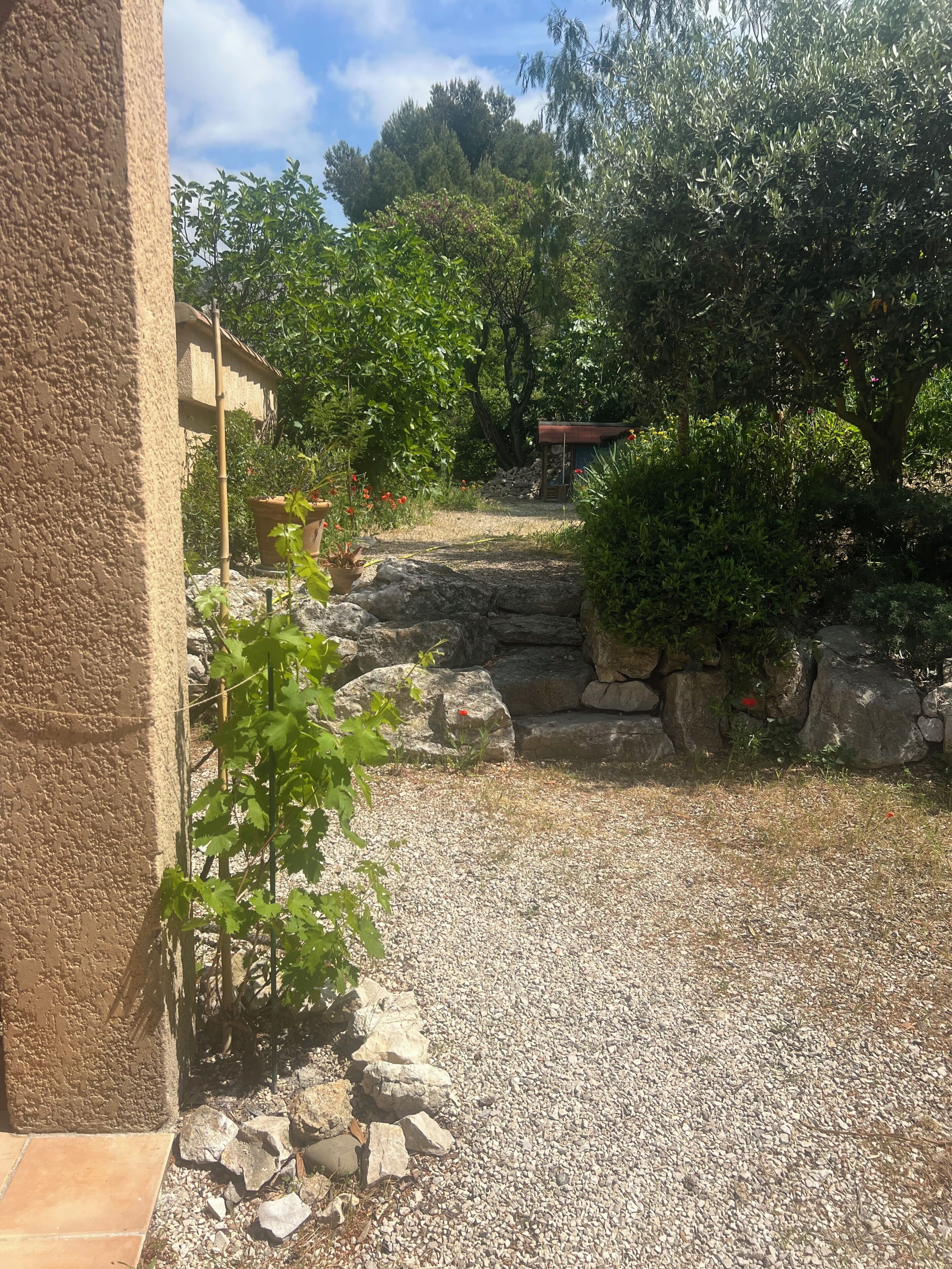 Parco della struttura