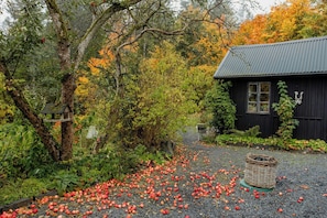 A rustic cabin surrounded by autumn foliage and a gravel path.